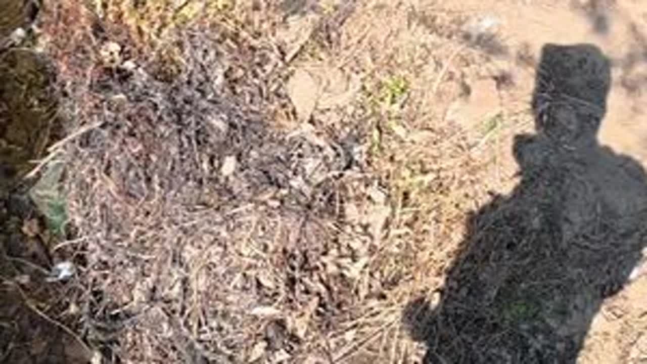 #逮鱼摸虾 #真实户外  又是一年，新的一年，新的启程。又开启了新的探险。