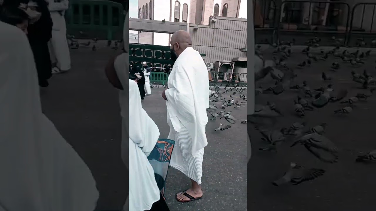 Madina