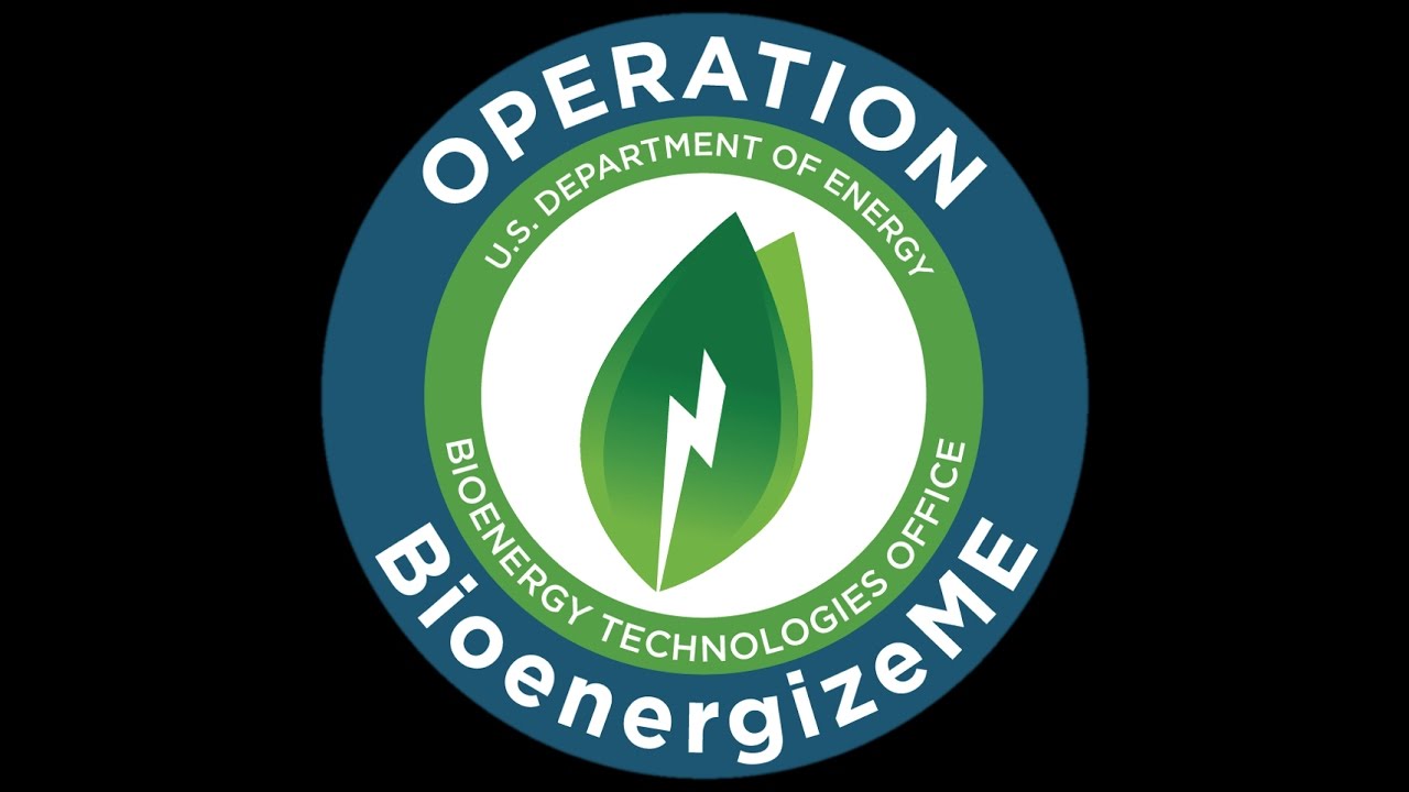 Biomass Basics