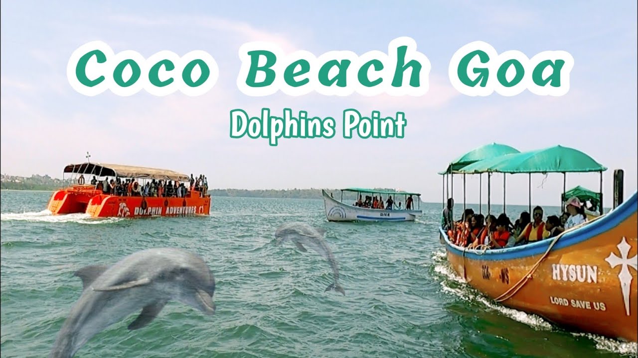 Coco Beach Goa | Dolphins Point Coco Beach | Dolphins Trip North Goa | Boat Tour Coco Beach