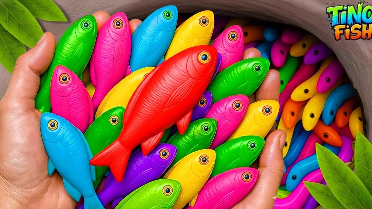Catch colorful ornamental fish in giant surprise eggs, baby turtle, goldfish, platy fish, koi fish