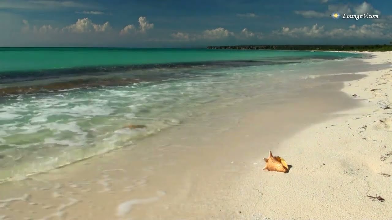 Relaxing Sounds of Waves - zvuk mořsk&yacute;ch vln a &scaron;uměn&iacute; moře.