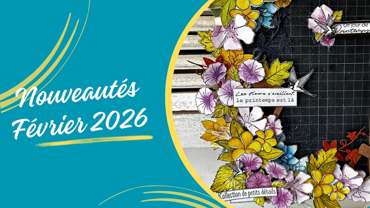 Nouveautés de Février 2026 - Denim Tampons