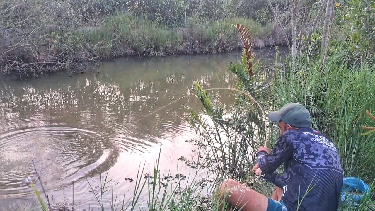 Usei essa isca e o resultado me assustou, a tilapia s&oacute; queria dessa cor! Pescaria caipira 