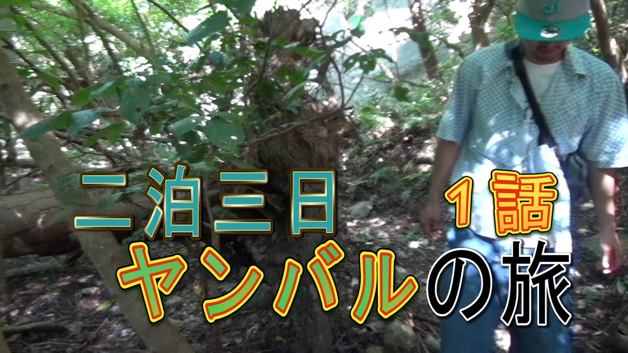 【幻の野鳥】二泊三日ヤンバルの旅【大連続討伐】