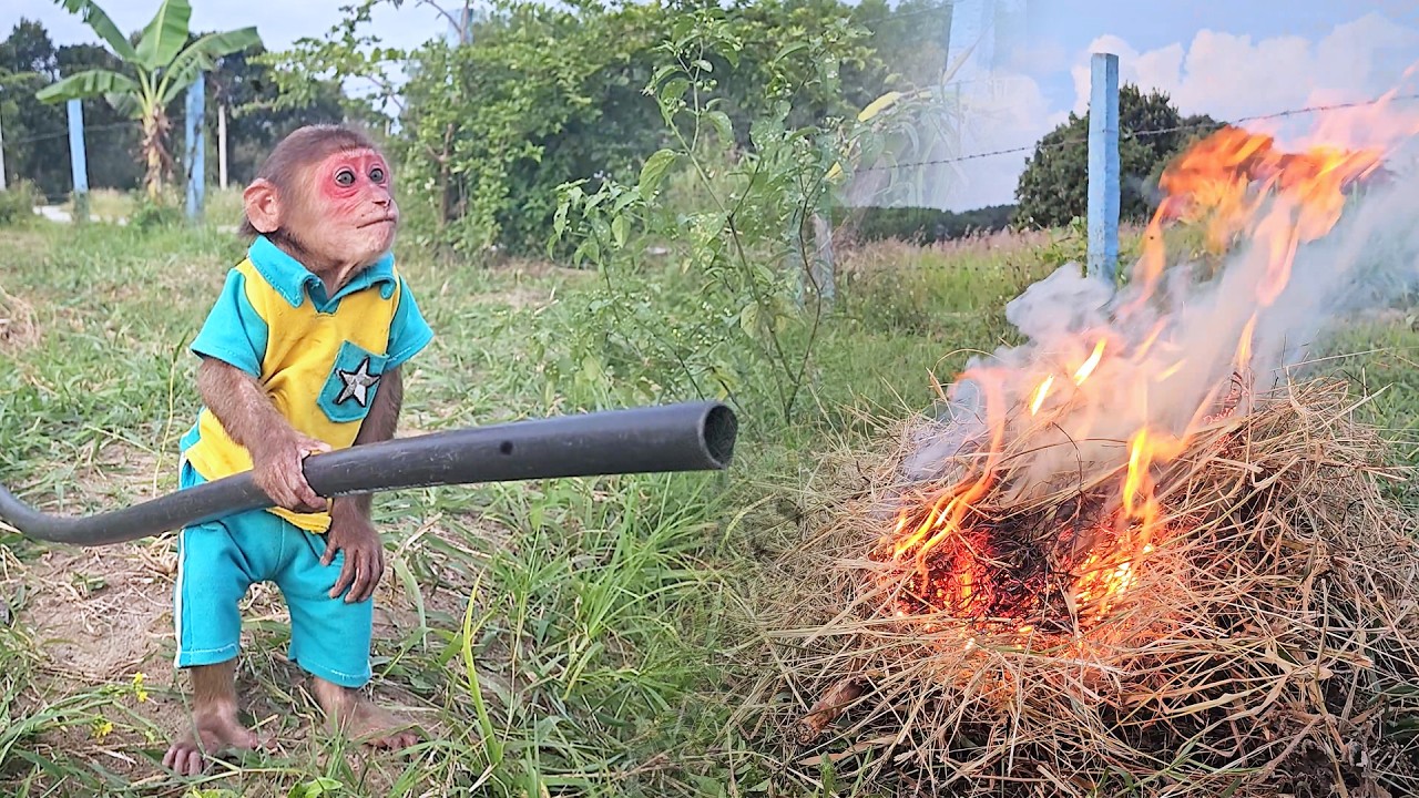 Brave Firefighter! SU Smart & Special Way Put Out Garden Fire!