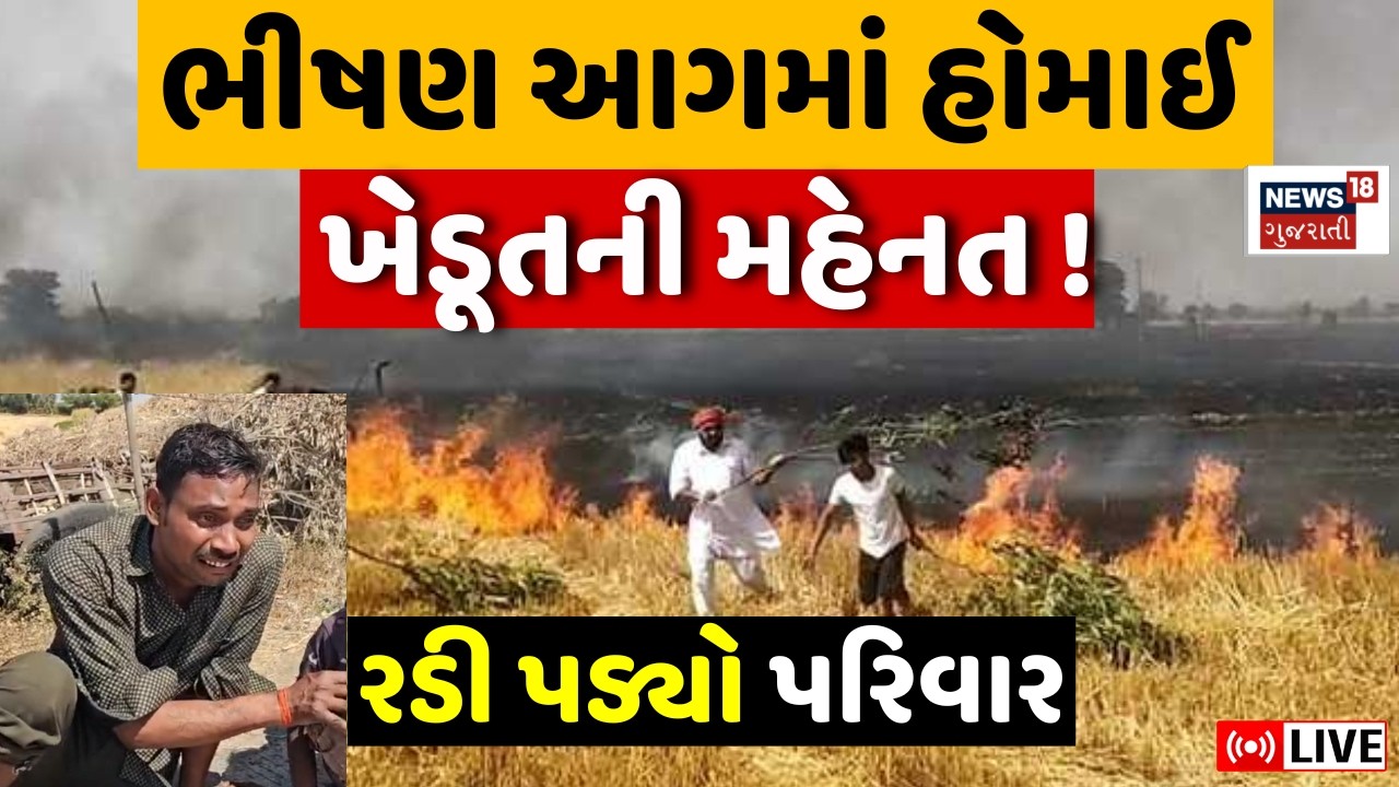 Rajkot Wheat Farm Fire LIVE | ખેતરમાં આગ લાગતાં ઘઉંનો પાક બળીને ખાખ | Jetpur | Fire Brigade