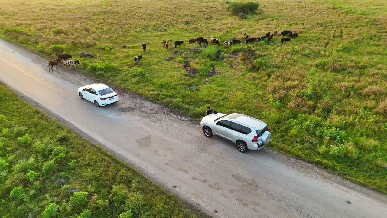 SALALAH 4K Drone video 2025 | Green Meadows after Khareef