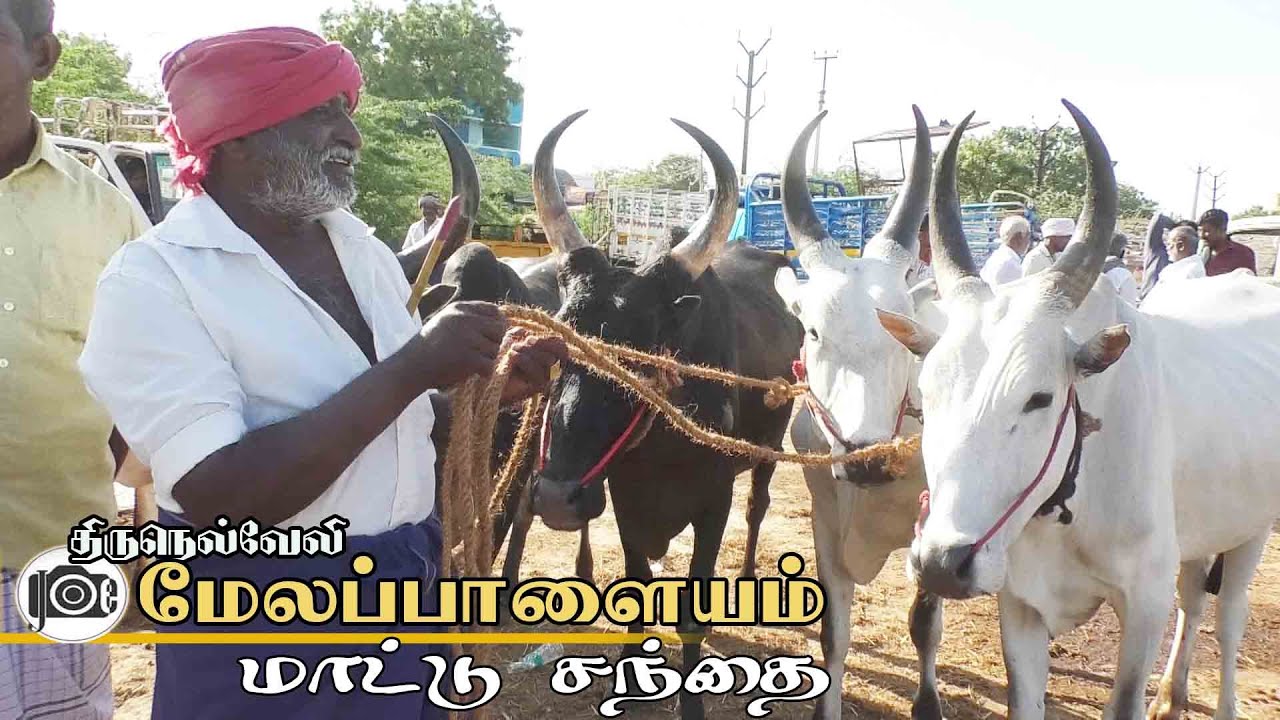 Melapalayam mattu santhai | மேலப்பாளையம் மாட்டு சந்தை