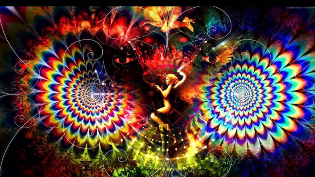 Goa for animal  Insane trip