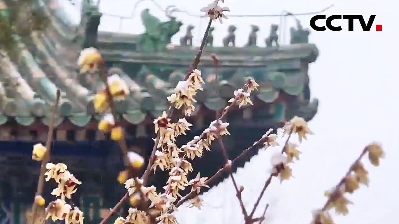 春雪落北京，北海公园古殿前雪景如画 | CCTV