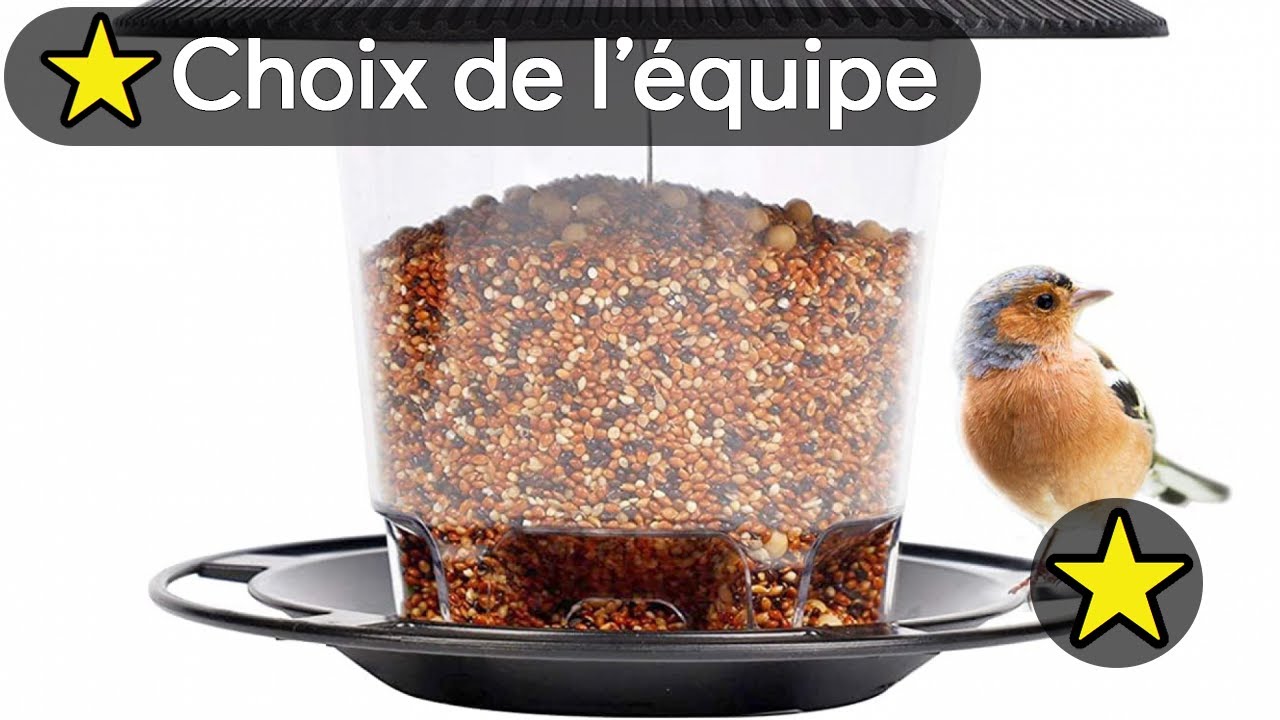 🏆 TOP 3 MEILLEUR MANGEOIRE A OISEAUX 2025