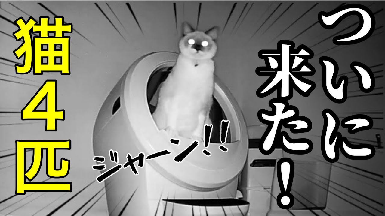 【猫飼い必見】ハイテクな全自動トイレがウチにもやって来た！