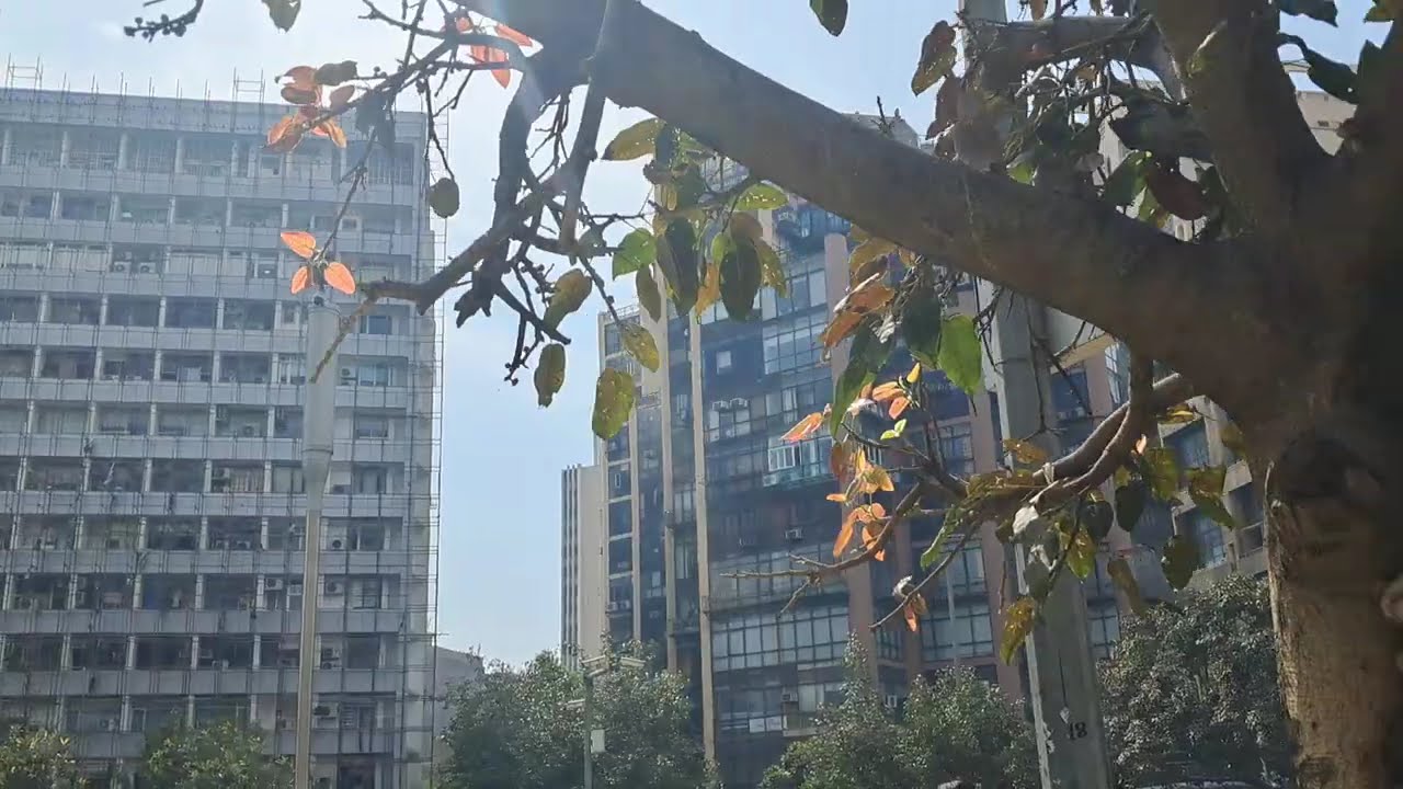 Office Space in Hansalaya Building, Connaught Place | Buy & Rent | Property Masterz India