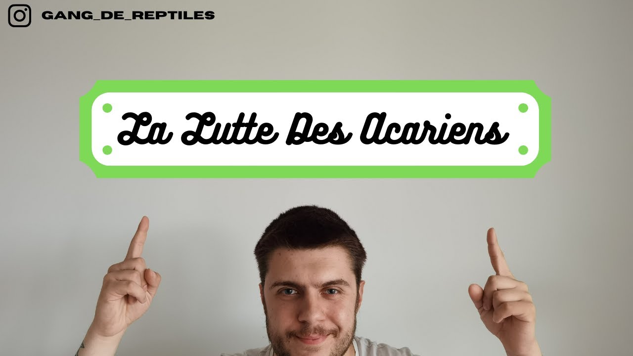 La Lutte Des Acariens