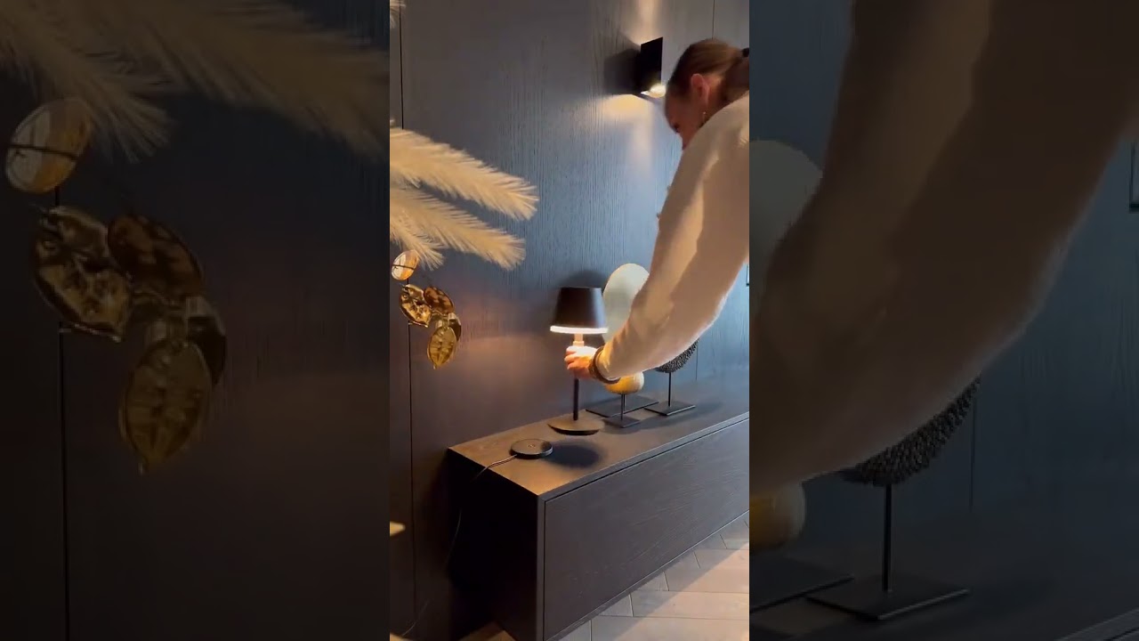 @Casa Leinweber  showing us that the Hue Go portable lamp looks good literally anywhere ✨