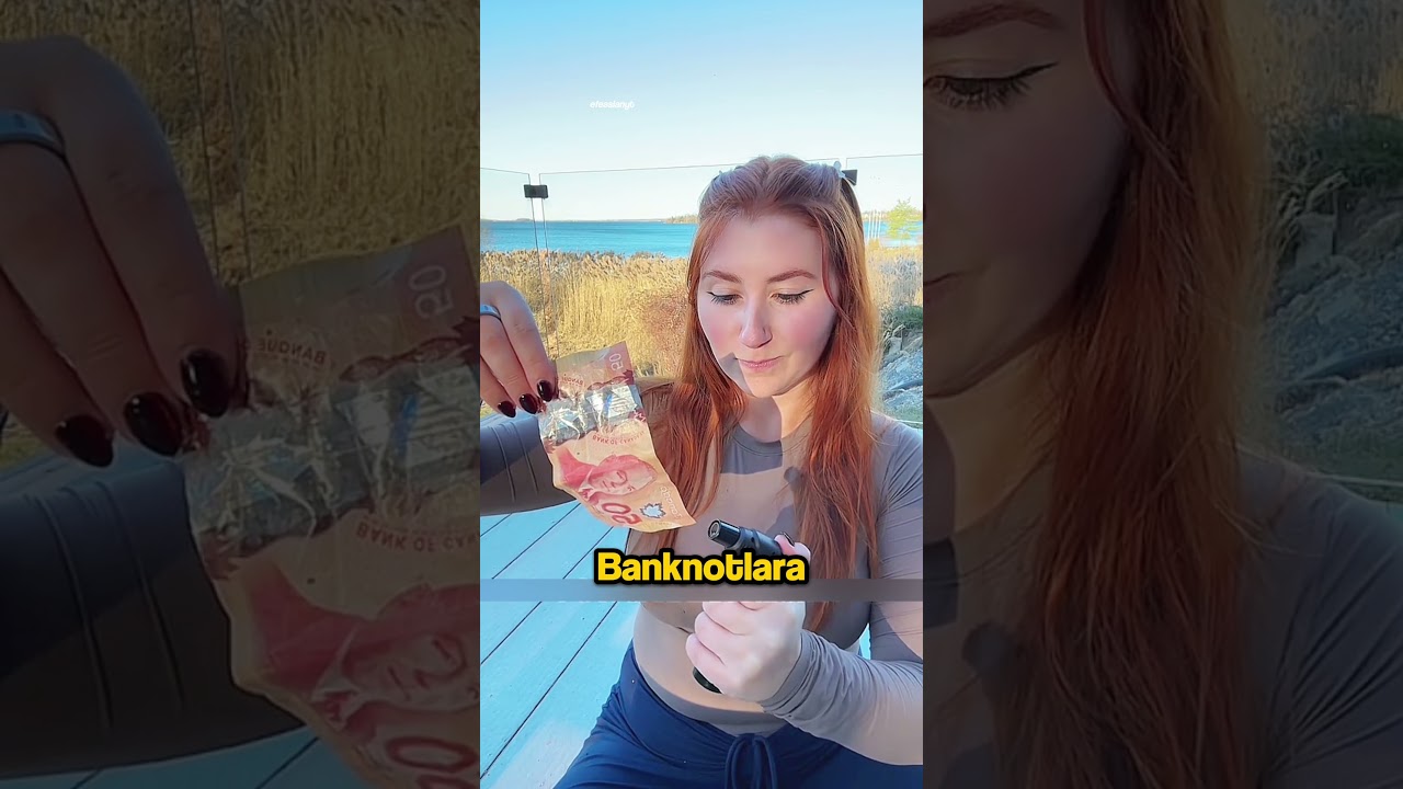 Kanada&rsquo;nın Kırılmaz Paraları! 💵 Dayanıklılığın Zirvesi
