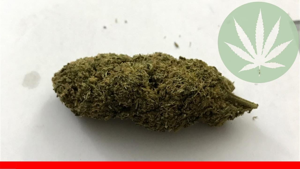 Purple Thai - All About This Strain