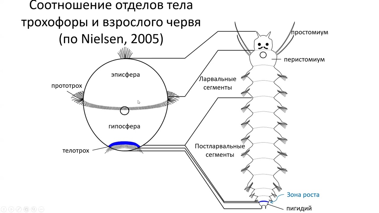Научный семинар 