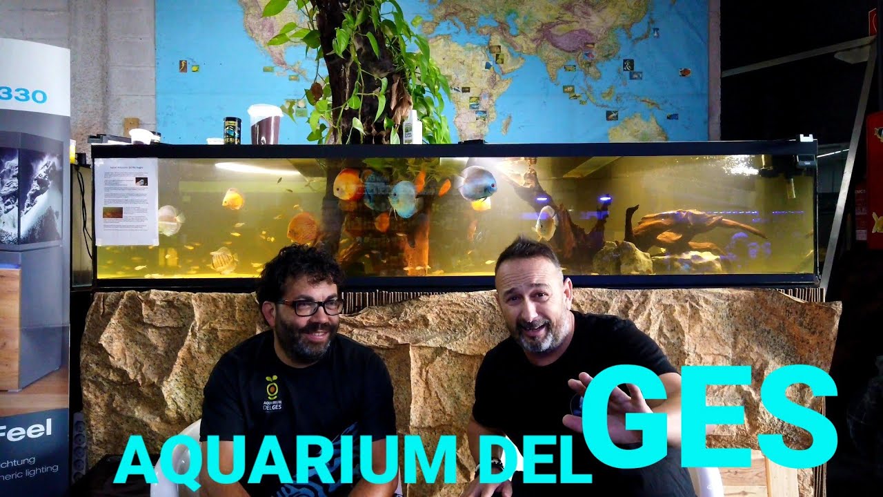 TIENDA ACUARIOFILIA AQUARIUM DEL GES