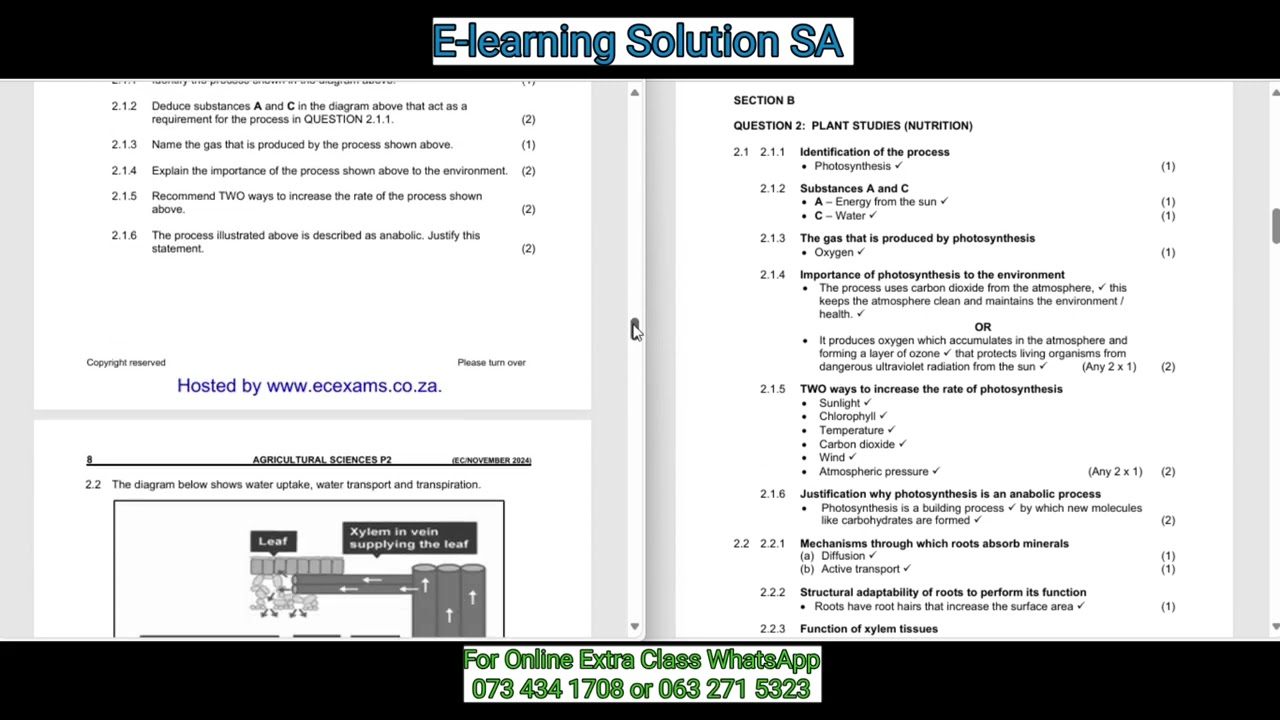 Grade 11 Agricultural Sciences Term 4 | Final Exam Paper 2 of 2025