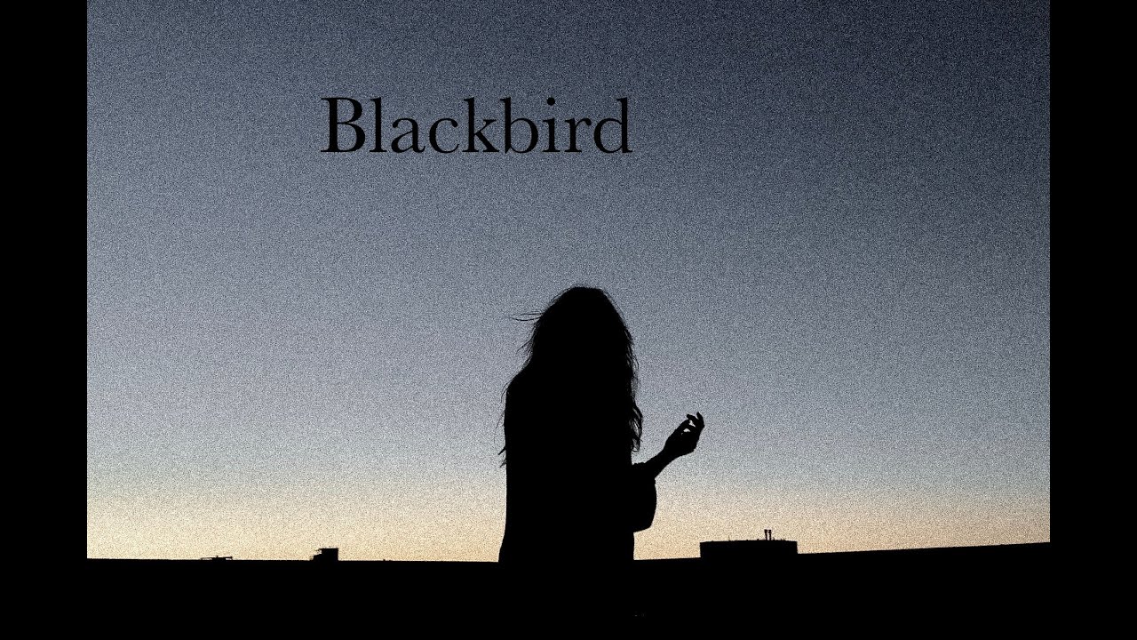 blackbird by emi mcswain - ambient folk cover