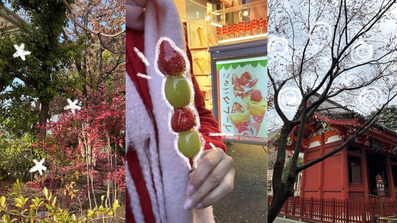 last few days in tokyo 🍡🇯🇵
