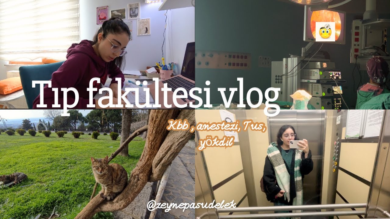Tıp fakültesi vlog/ 