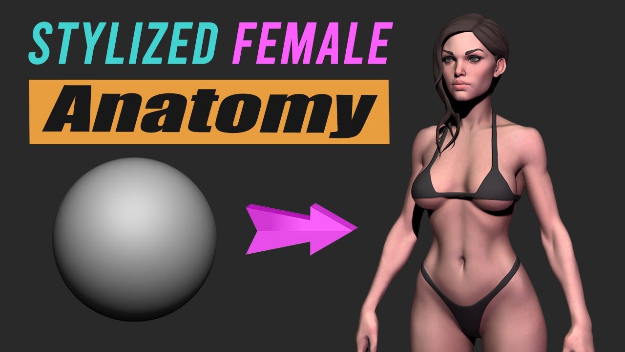 Sculpting Female Anatomy in Zbrush from SPHERE - Tutorial
