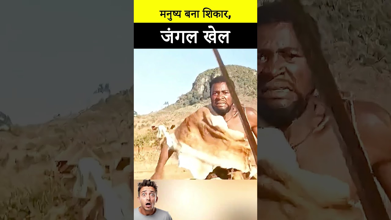 #jaidmeel