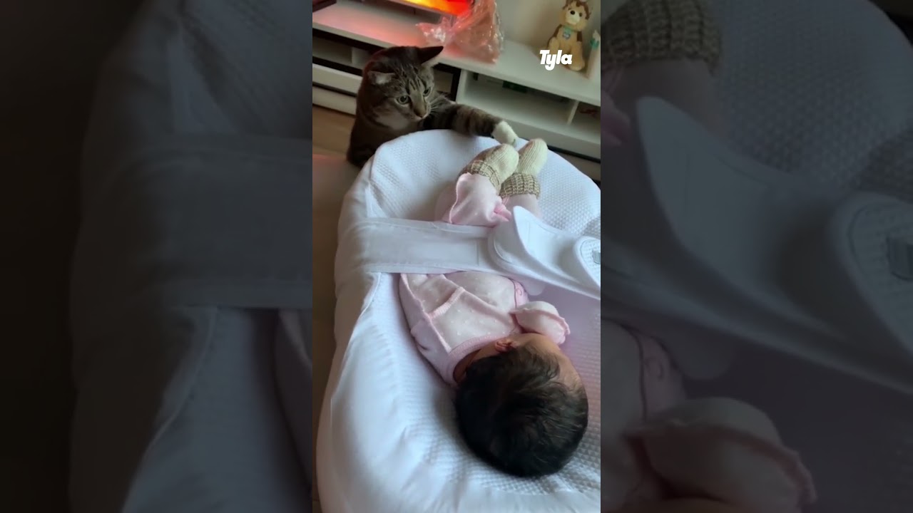 🥺 Cat meets baby for the first time #shorts