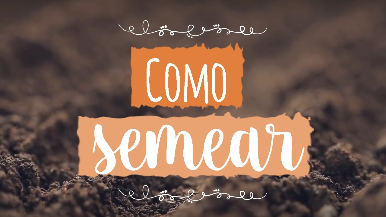 Como plantar a partir de sementes - Minha Horta - ISLA Sementes