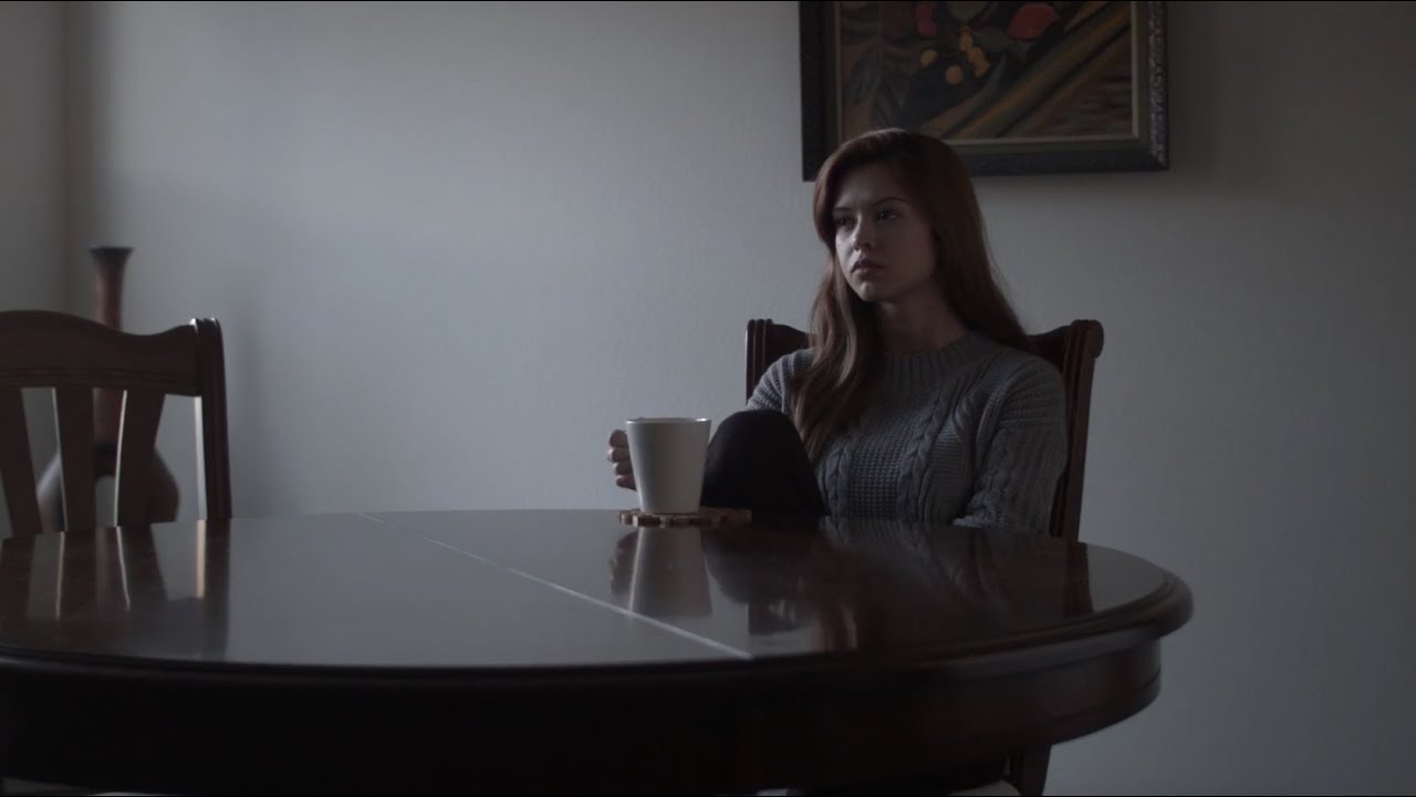National Domestic Violence Hotline PSA