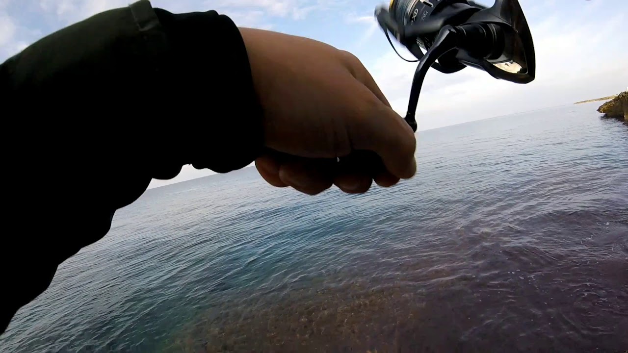 Ricciola Su Palms Slow Blatt 40 -C&R- light jigging