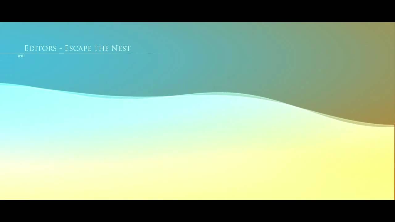 Editors - Escape the Nest [HQ] [Lyric]