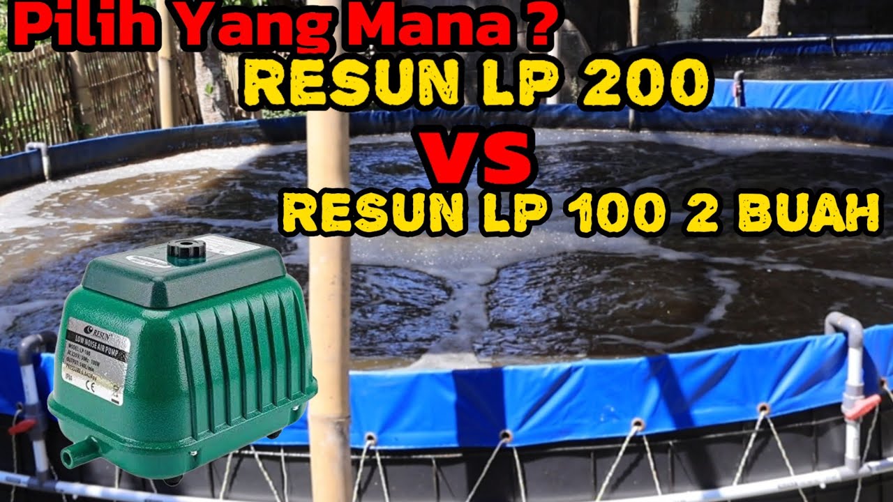 Perbandingan Aerator Resun Lp 200 dan Resun Lp 100 di Budidaya ikan Nila sistem Bioflok
