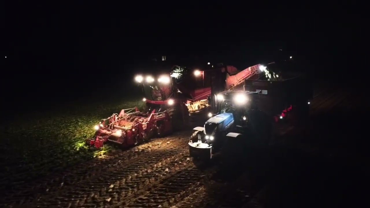 Arrachage de betteraves 2025 avec deux arracheuse une Matrot m41 et une Grimme 