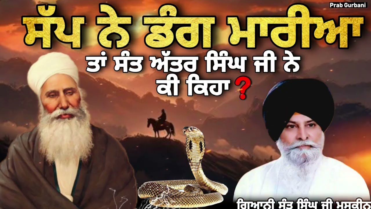ਸੱਪ ਨੇ ਡੰਗ ਮਾਰੀਆ ~ ਤਾਂ ਸੰਤ ਅੱਤਰ ਸਿੰਘ ਜੀ ਨੇ ਕੀ ਕਿਹਾ || Giani Sant Singh Ji Maskeen | Prab Gurbani 