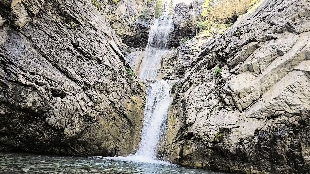 A miracle of nature