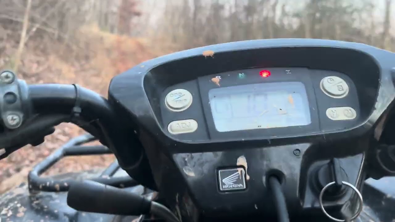 Riding on a nice open trail #foryou #atvvlog #viral @ATVRidersOfVA 