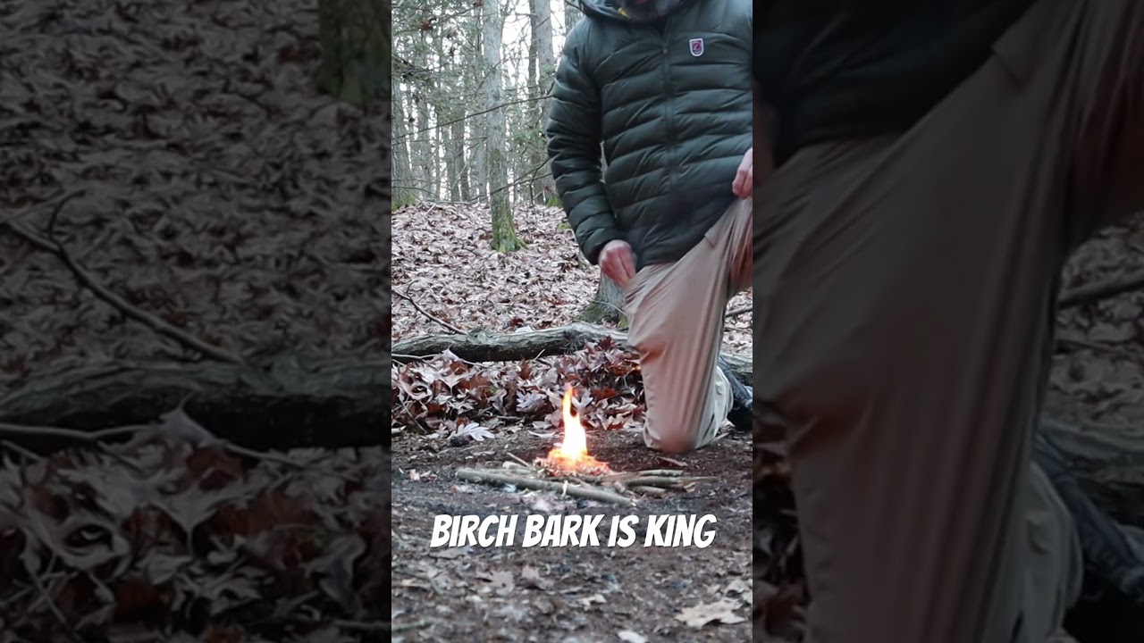 Birch bark is the best fire starter! #survivalskills #wildernesssurvival #firestarter #survivalist