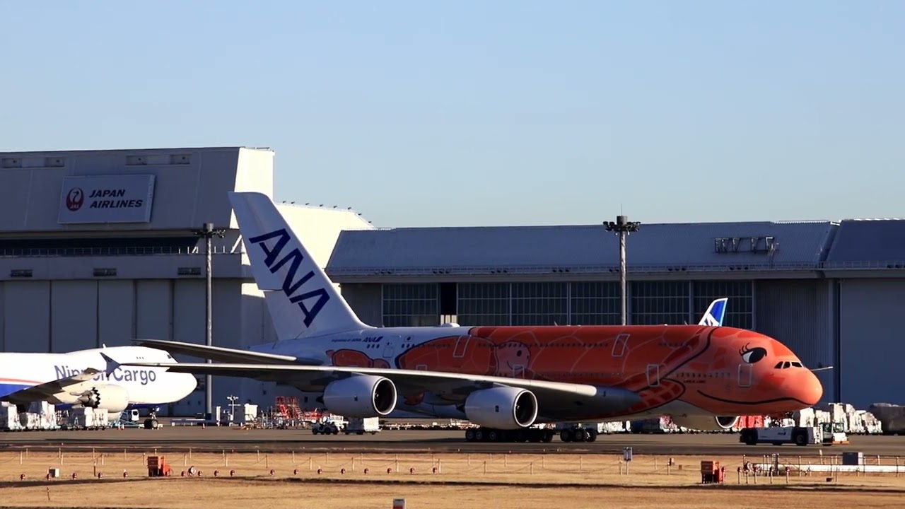 #成田空港#ラーチャン #フライングホヌ3号機が整備で格納庫に移動