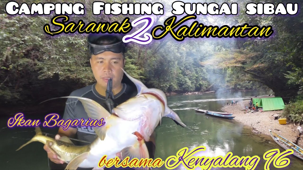 Camping Fishing Bersama Team Kenyalang 96 ke Hulu Sungai Sibau Kalimantan 3Hari 2Malam Part 3(Last)