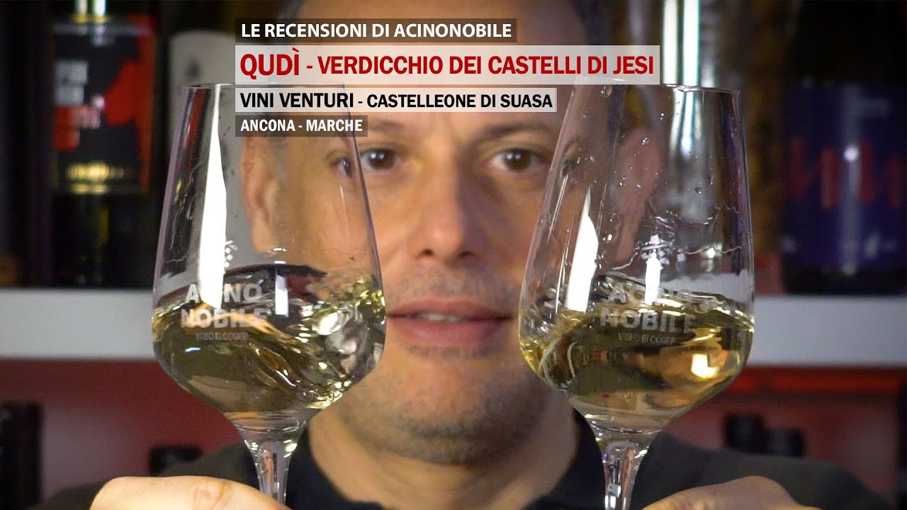 La produzione del Verdicchio dei castelli di Jesi | Il Qudì di Roberto Venturi | 3 Bicchieri
