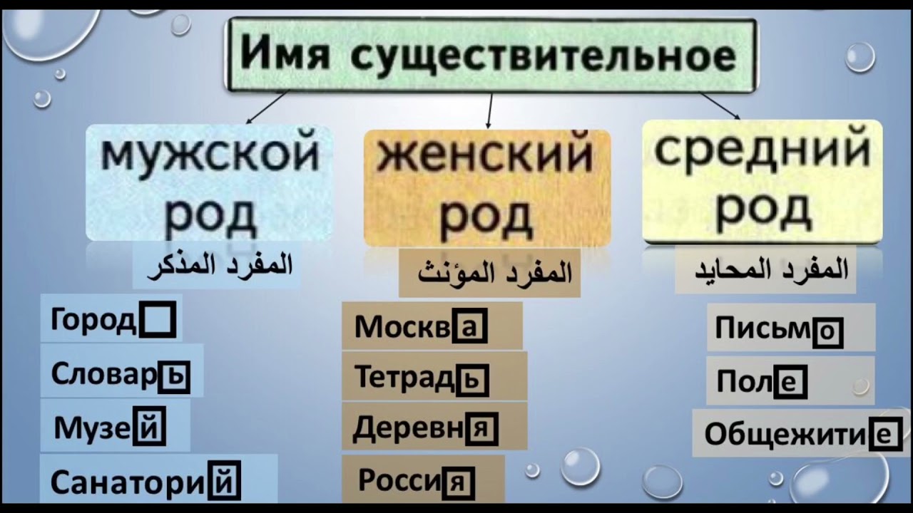 ازاي اعرف الاسم المذكر والمؤنث والمحايد في اللغة الروسية (мужской, женский и средний род )
