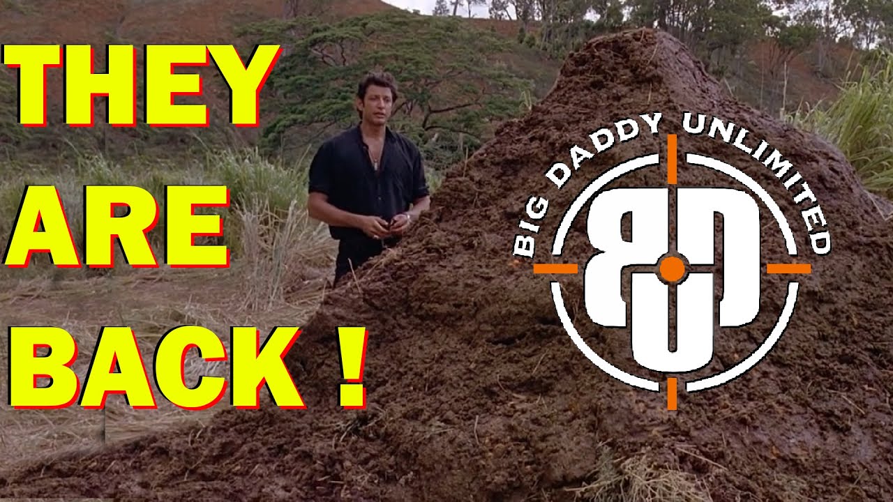 Ребрендинг Big Daddy Unlimited || Драма оружейной индустрии