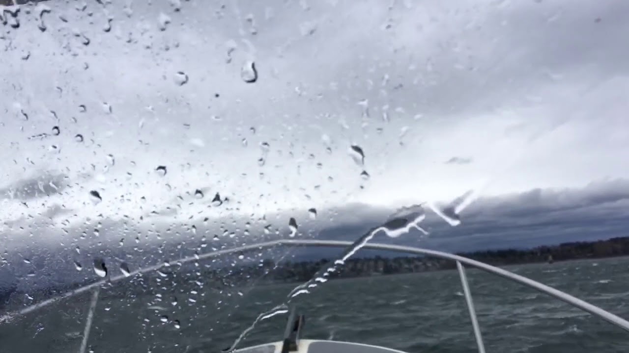 Seasport boat