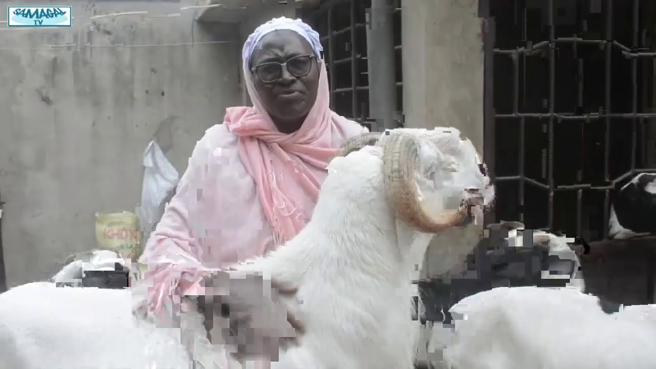 A LA DECOUVERTE DE MBAYE KANE UN MAL LADOUM AU TOP SA FORME