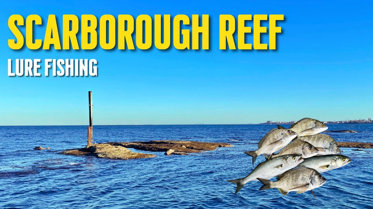 Fishing Scarborough Reef