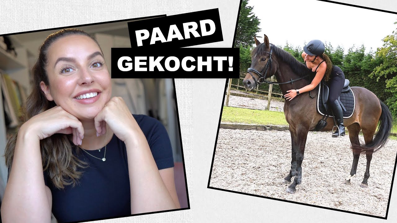 Eigen paard & live met website!🥺 | VLOG #345 Paulien Tilstra